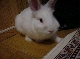 DSC00081.JPG