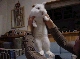 DSC00089.JPG