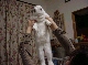 DSC00090.JPG