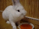 DSC00100.JPG