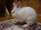 DSC00103.JPG