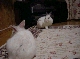 DSC00110.JPG