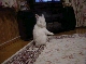 DSC00111.JPG