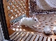 DSC00116.JPG