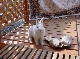 DSC00119.JPG