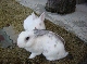 DSC00141.JPG