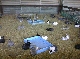 06090011.JPG
