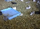 06090012.JPG