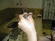 05240017.JPG
