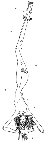 �Z���X�^�E���f���m�C�c�F���ipng�`���摜�t�@�C���j