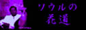 SOUL̉ԓ