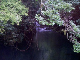 菊池渓谷01