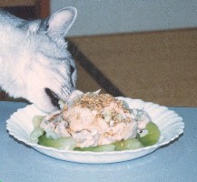 �ؗ₵��Ԃ̃s���h����F�Ԃ����F��o���H�̐}