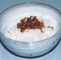 �w�n�݂ӂ肩�����͂�