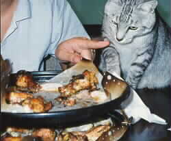 �`�L���̃K�[���b�N���n�[�u�Ă�