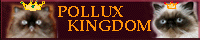POLLUX KINGDOM