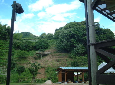 �R�̒��ł����E�E�E