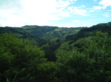 �i�F�����������ˁ`