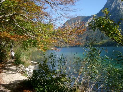 Alpsee