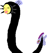 �V�[����