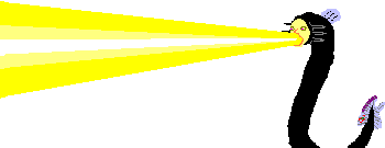 �V�[����