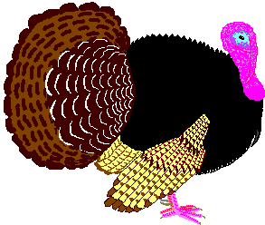 ���ʒ�{Turkey}
