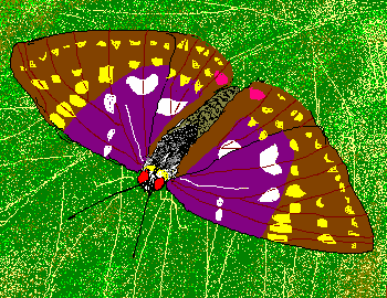 �I�I�����T�L