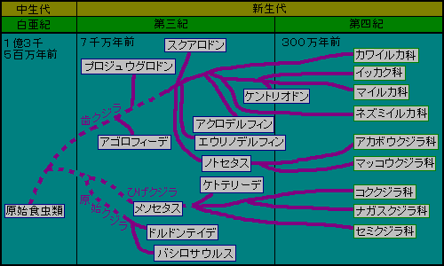 �N�W���̑c��