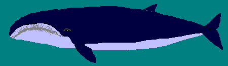 �R�Z�~�N�W��