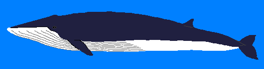 �j�^���N�W��