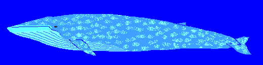 �s�O�~�[�V���i�K�X�N�W��