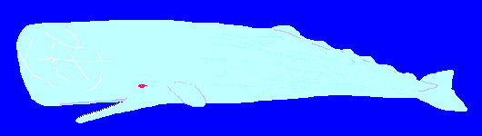 �����}�b�R�E�N�W��