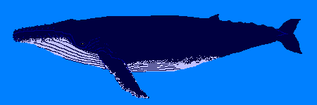 Biggest tail