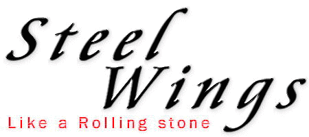 Steel�@Wings -Like a rolling stone- 