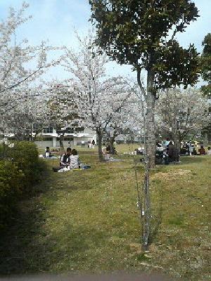 2008.04.06.03.36.25.089.jpg