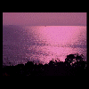 f009.gif