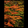 f034.gif