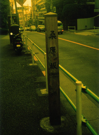 PEN EE3 �ʐ^