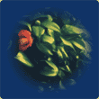 PEN EE3 �ʐ^