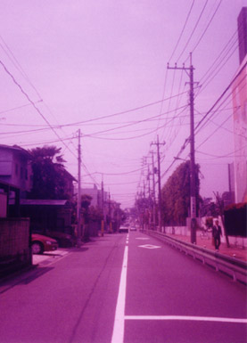 PEN EE3 �ʐ^