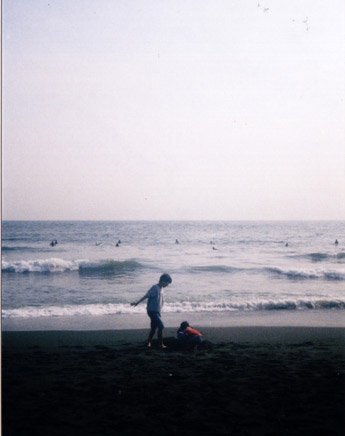 PEN EE3 �ʐ^