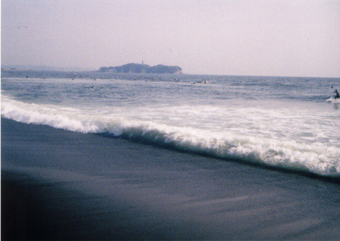 PEN EE3 �ʐ^