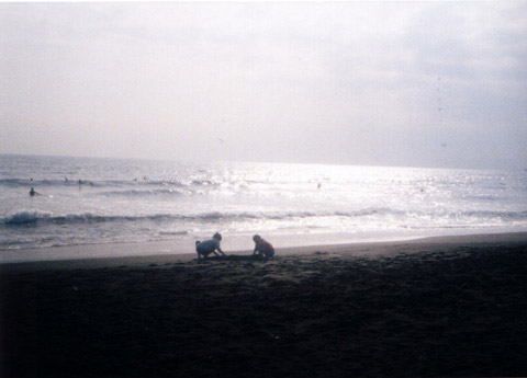 PEN EE3 �ʐ^