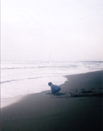 PEN EE3 �ʐ^
