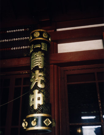 PEN EE3 �ʐ^