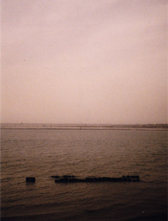 PEN EE3 �ʐ^