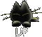 to