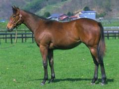 �҂���[�̑S�g�`