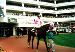 �����e�J����