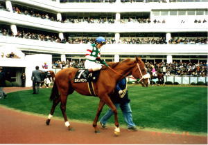 ���o�m�p����